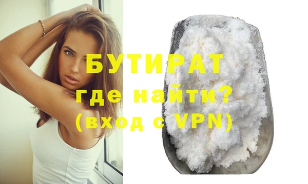 сатива Ельня