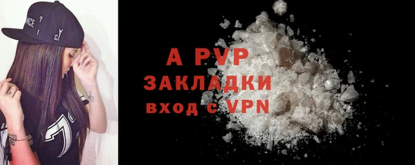стаф Вяземский