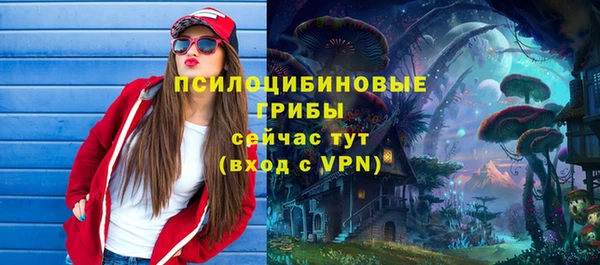 бутират Горнозаводск