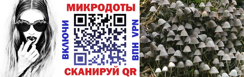 закладки Нурлат Псилоцибиновые грибы мухоморы