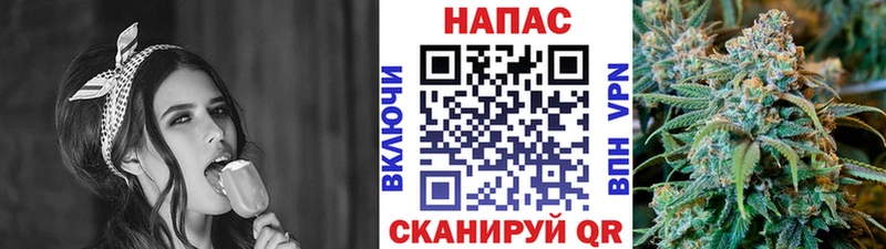 Конопля MAZAR  наркошоп  Нурлат 